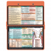 WhiteCoat Clipboard® - Coral Occupational Therapy Edition